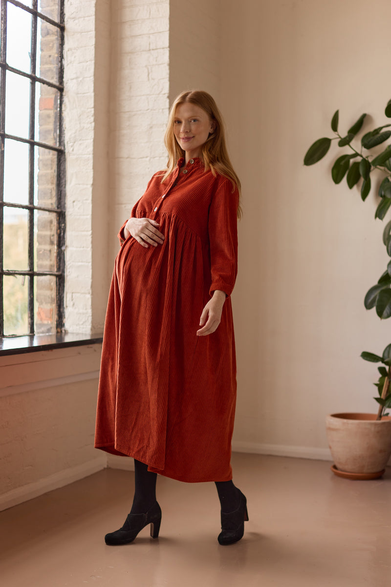 Cleo Dress Rust