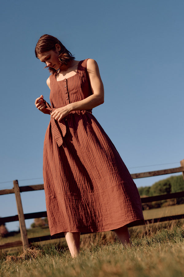Sadie Dress Brown Stripe